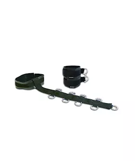 Neck And Wrist Restraint