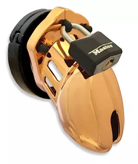 Cb-6000s Chastity Device 25