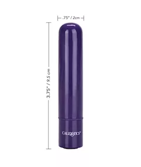 Tiny Teasers Bullet