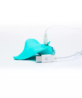 Clandestine Devices Mimic Rechargeable Massager