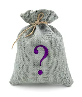 Mystery Bag  Couples with Vulvas