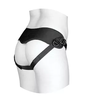 Vac-u-lock Remote Controlled Harness With Vibrating Plug 
