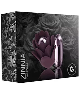Zinnia 
