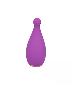 Replaceable Head Massager 
