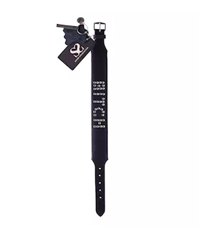 Bound X Bitch Studded Collar