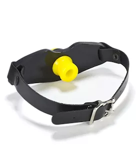 Guard Gag Piss