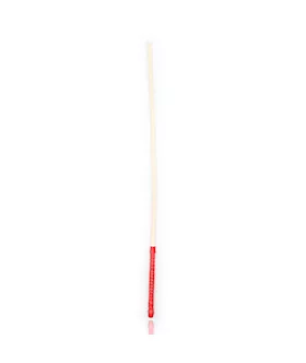 Thick Discipline Cane