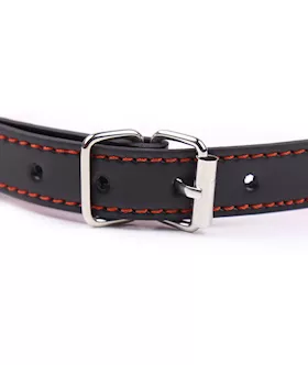 Dirty Dog Bone Bit Gag