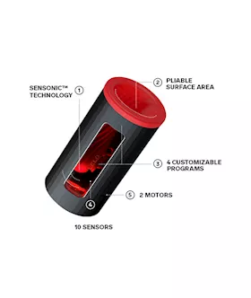Lelo F1s V2a