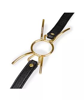 Golden Spider Gag