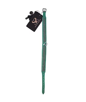 Bound X Green Collar With Pink Rhinestones