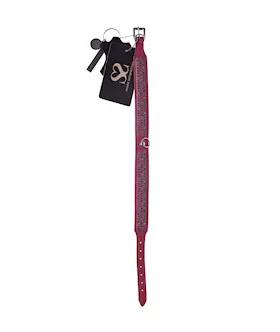 Bound X Pink Collar With Rainbow Rhinestone