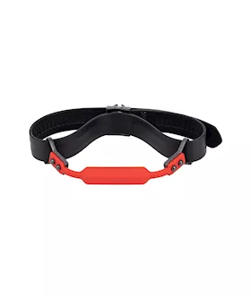 Lockink Ball Gag & Bit Gag Set