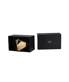Lockink Golden Punker Muzzle Gag Set 