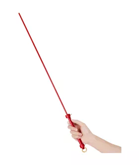 Sensual Spanking Stick