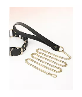 Traction Collar