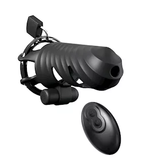 Fantasy CRingz RemoteControlled Vibrating Cock Blocker