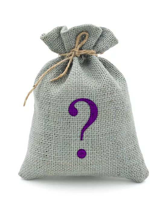 Mystery Bag - Anal Toys