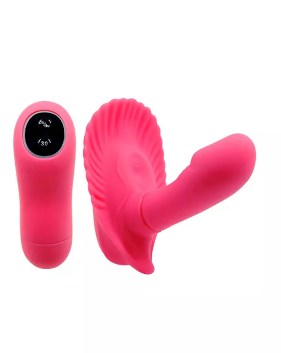 Fancy Clam Shell Vibe