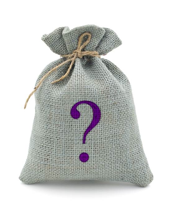 Mystery Bag - Sex Toys - Diamond