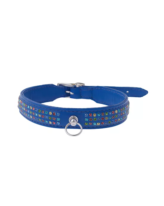 Bound X Blue Collar With Rainbow Rhinestones