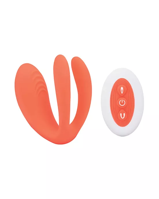 Bodywand Id Bridge
