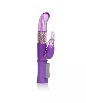 Shanes World Jack Rabbit G