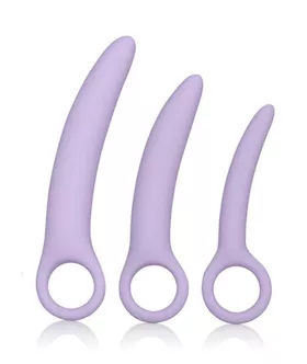 Dr Laura Berman Alena Set of 3 Silicone Dilators