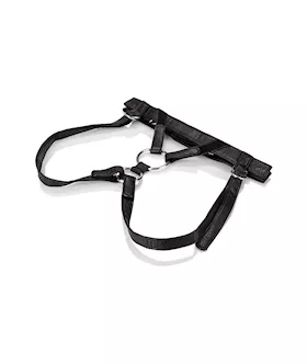 Her Royal Harness The Duchess