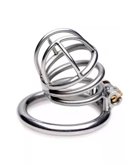 The Pen Deluxe Locking Chastity Cage