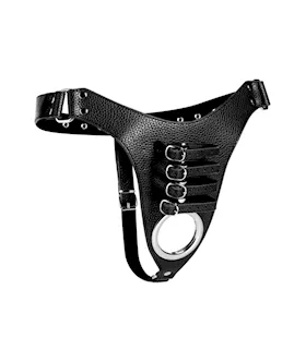 Male Chastity Harness