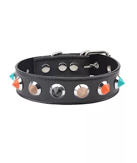 Collar with Thorns