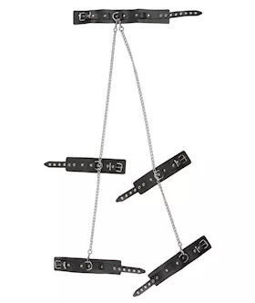 Leather All Over Restraints