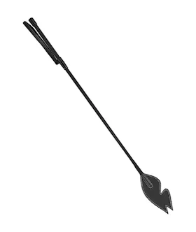 Bad Kitty Animalistic Desires Crop