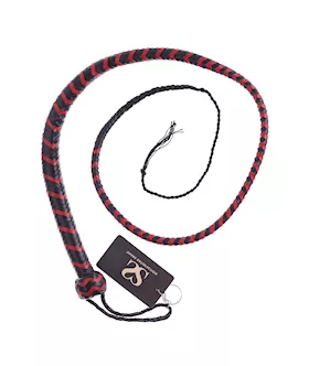 Bound X Leather Chevron Whip