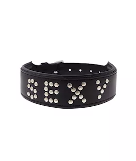 Bound X Sexy Studded Collar