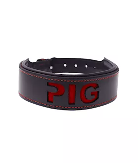 Bound X Pig Cut Out Collar