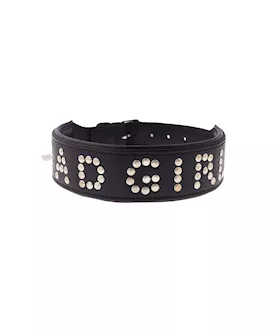 Bound X Bad Girl Studded Collar