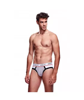 Envy Mesh Brief