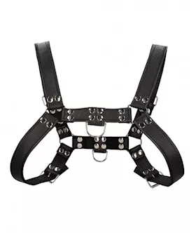 Shots Uomo Chest Bulldog Harness