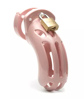 The Curve Male Chastity Device