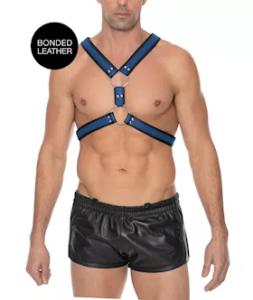 Z Series Scottish Harness