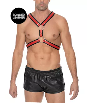 Z Series Scottish Harness