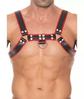 Chest Bulldog Harness