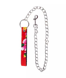 NorthEast Leash with Chain