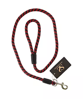 Bound X Braided Leather Leash