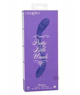 Pretty Little Wands Charmer