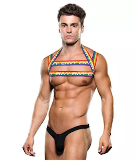 Envy Rainbow Harness SM BX