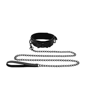 Sincerely Bow Tie Collar Leash