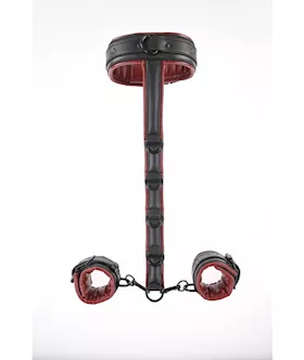 Saffron Neck and Wrist Restraint